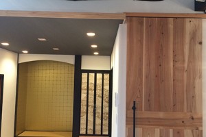 case_a_img003